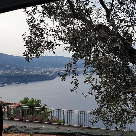 Grimaldi Guest Sorrente