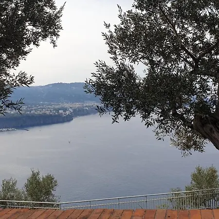 Apartamento Grimaldi Guest *