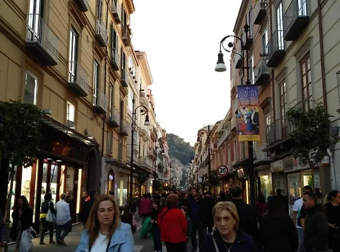 Grimaldi Guest 소렌토