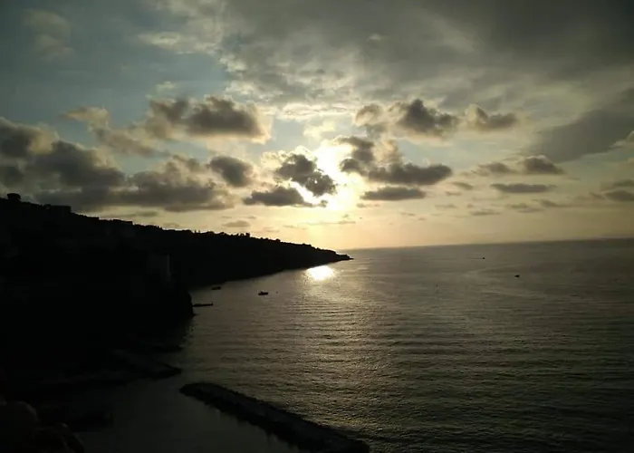 Grimaldi Guest * 소렌토