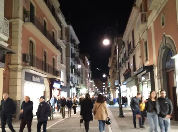 Grimaldi Guest * 소렌토